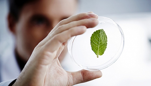 新兴能源技术研发 驱动未来可持续发展的核心引擎