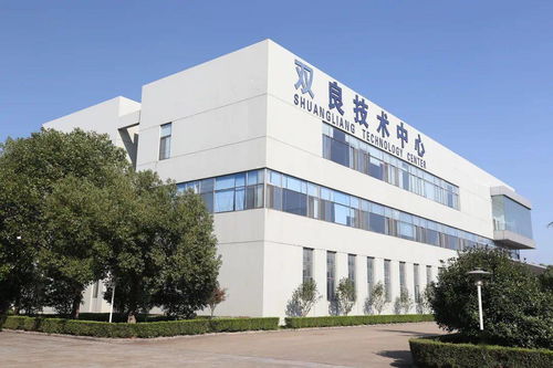 双碳愿景下的绿色科技之路 双良集团与发展中的不期而遇
